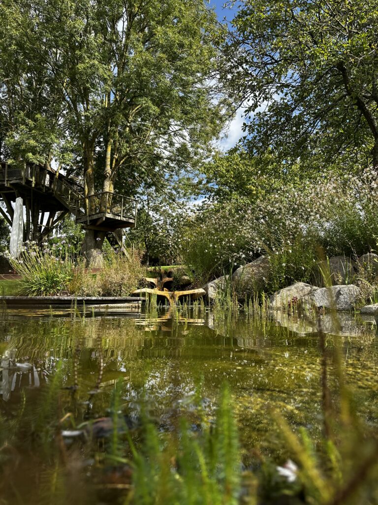 Bassin de méditation, Domaine le Coq Enchanté